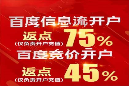 百度SEM与竞价排名策略的深度结合案例